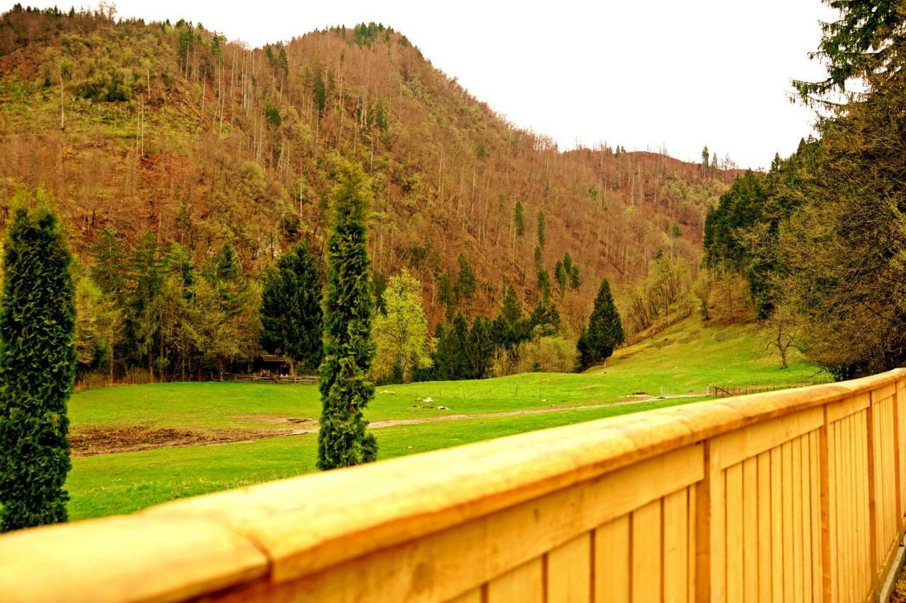 Apartma Eržen Zgornje Gorje Exteriér fotografie