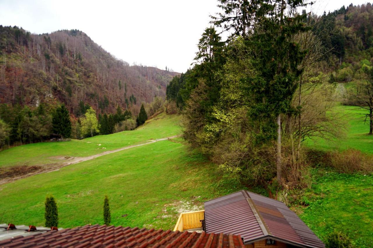 Apartma Eržen Zgornje Gorje Exteriér fotografie
