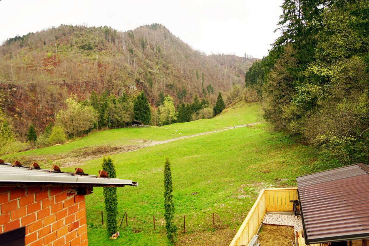 Apartma Eržen Zgornje Gorje Exteriér fotografie